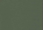 ColorCore Cardstock forest